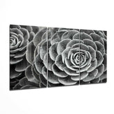 Succulent Glass Wall Art.